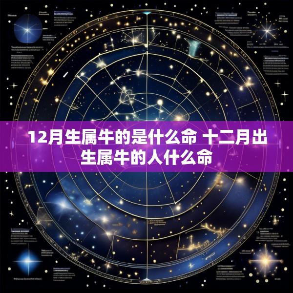 12月生属牛的是什么命 十二月出生属牛的人什么命