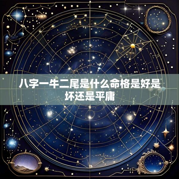 八字一牛二尾是什么命格是好是坏还是平庸
