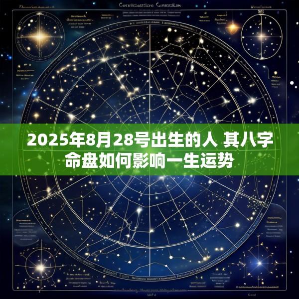 2025年8月28号出生的人 其八字命盘如何影响一生运势