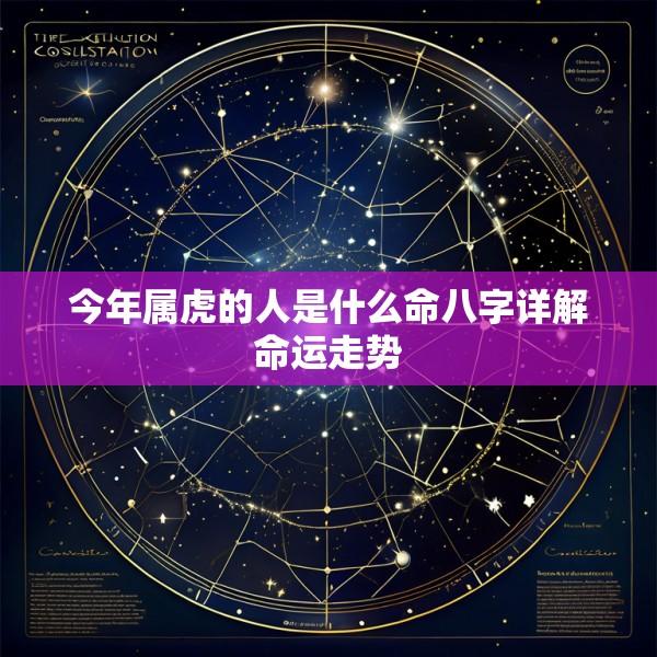 今年属虎的人是什么命八字详解命运走势
