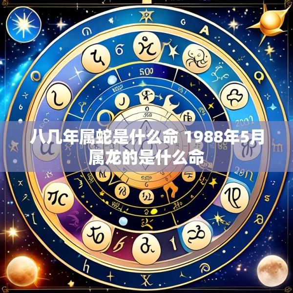 八几年属蛇是什么命 1988年5月属龙的是什么命