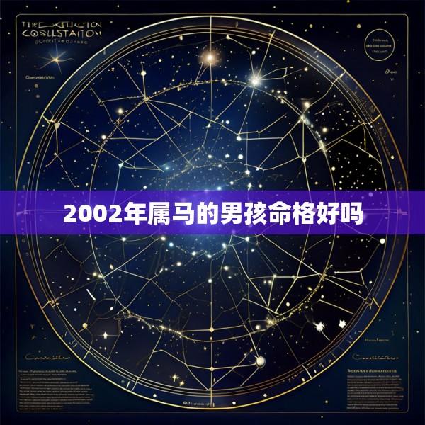 2002年属马的男孩命格好吗