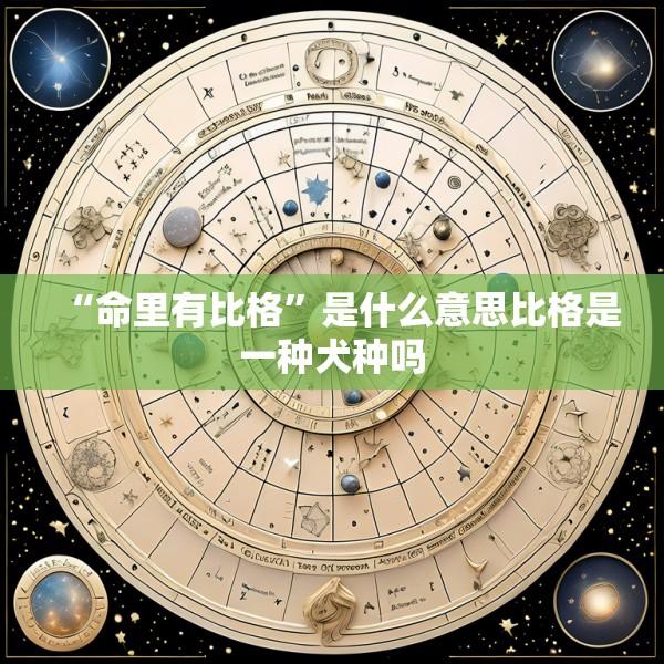 “命里有比格”是什么意思比格是一种犬种吗