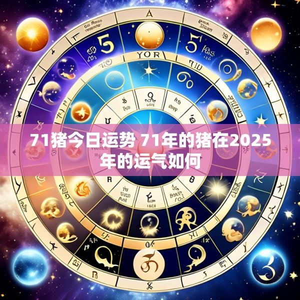 71猪今日运势 71年的猪在2025年的运气如何