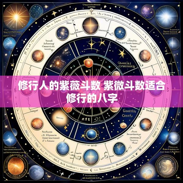 修行人的紫薇斗数 紫微斗数适合修行的八字