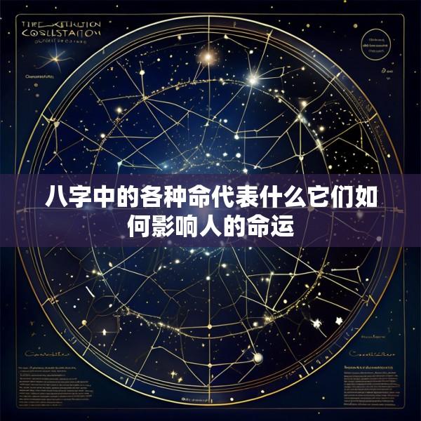 八字中的各种命代表什么它们如何影响人的命运