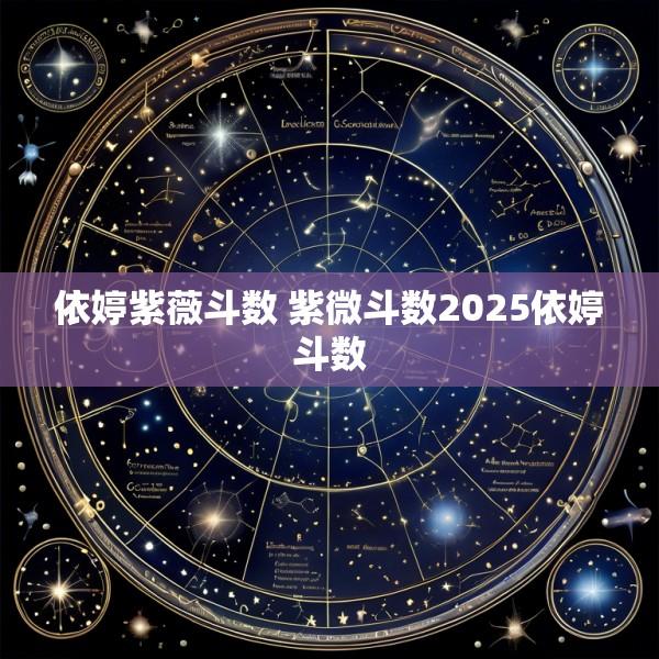 依婷紫薇斗数 紫微斗数2025依婷斗数