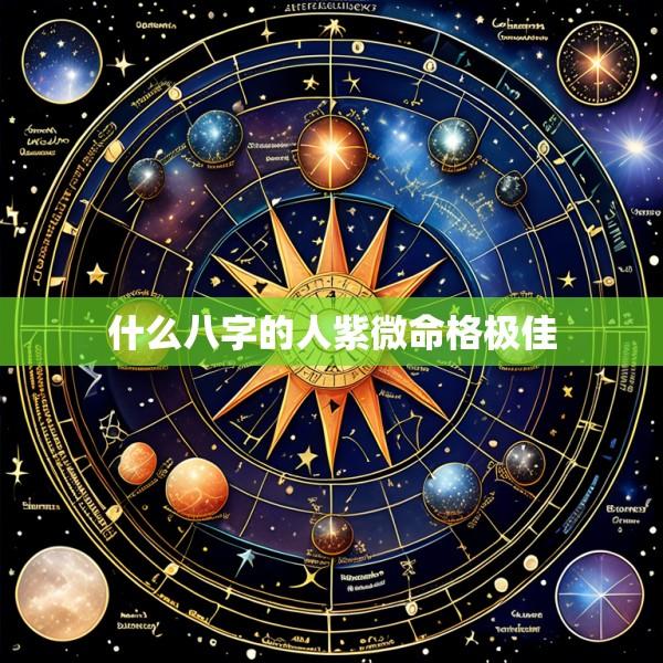 什么八字的人紫微命格极佳
