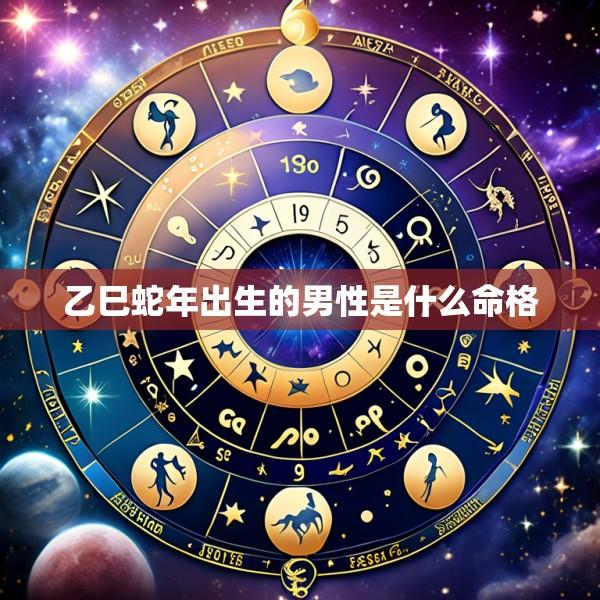 乙巳蛇年出生的男性是什么命格
