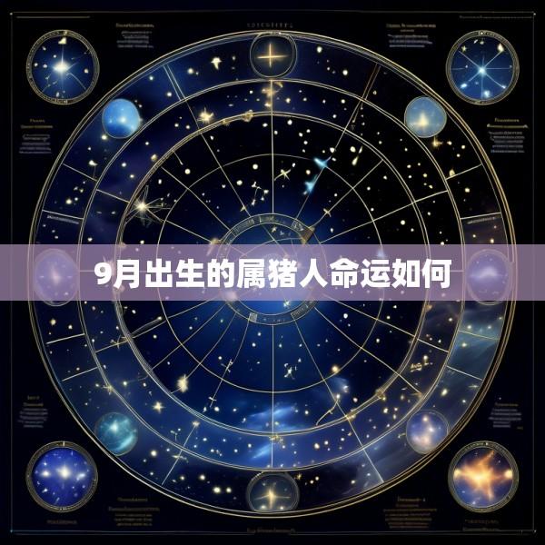 9月出生的属猪人命运如何