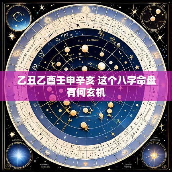 乙丑乙酉壬申辛亥 这个八字命盘有何玄机