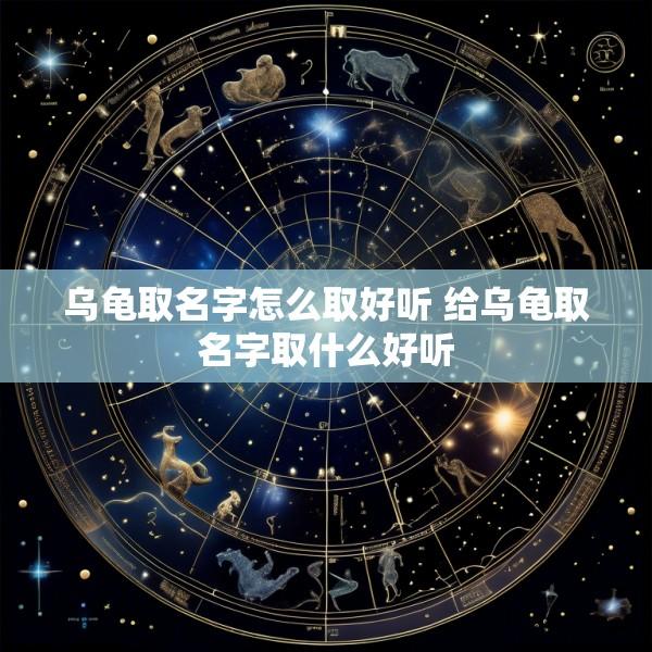 乌龟取名字怎么取好听 给乌龟取名字取什么好听