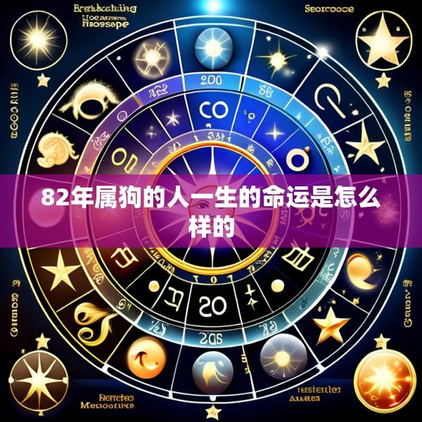 82年属狗的人一生的命运是怎么样的