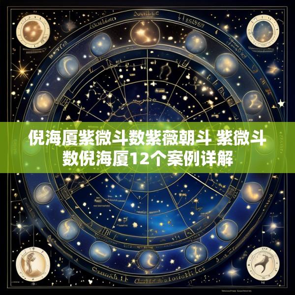 倪海厦紫微斗数紫薇朝斗 紫微斗数倪海厦12个案例详解