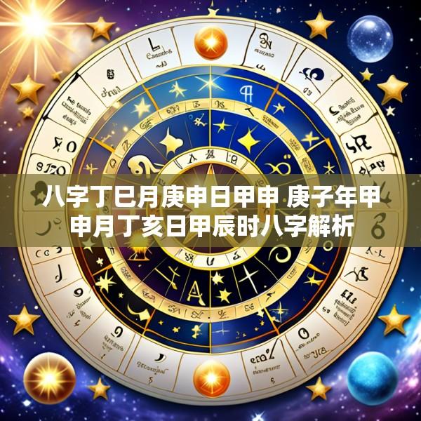 八字丁巳月庚申日甲申 庚子年甲申月丁亥日甲辰时八字解析