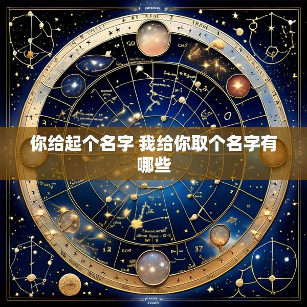 你给起个名字 我给你取个名字有哪些