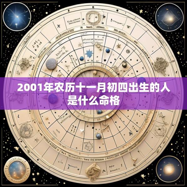 2001年农历十一月初四出生的人是什么命格