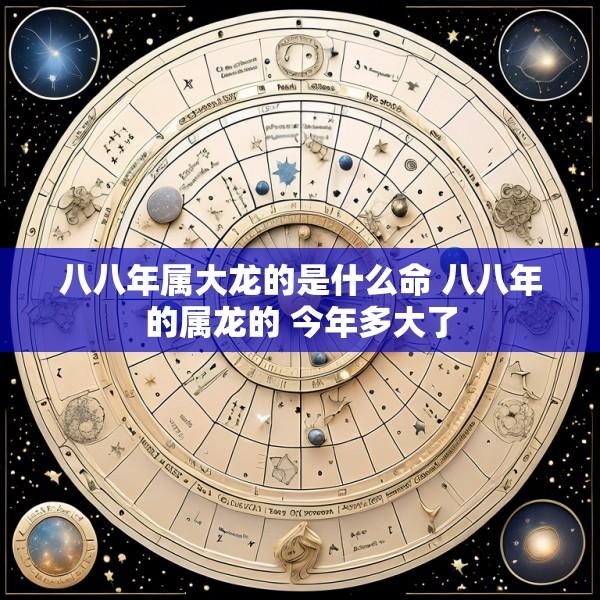八八年属大龙的是什么命 八八年的属龙的 今年多大了