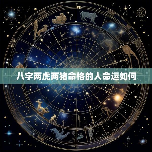 八字两虎两猪命格的人命运如何