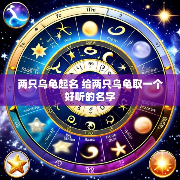 两只乌龟起名 给两只乌龟取一个好听的名字