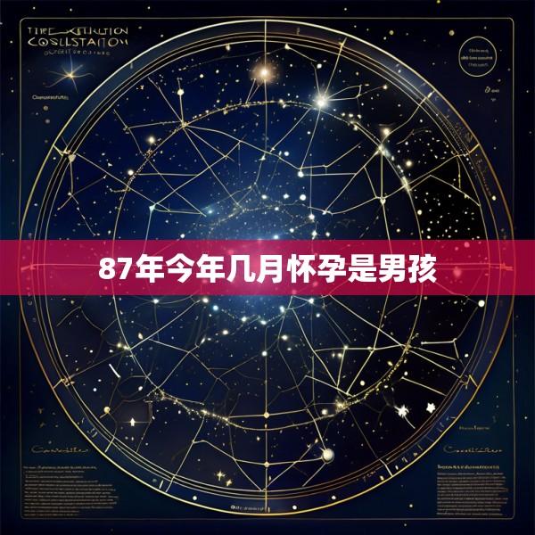 87年今年几月怀孕是男孩