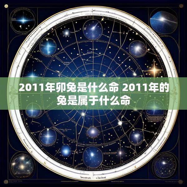 2011年卯兔是什么命 2011年的兔是属于什么命