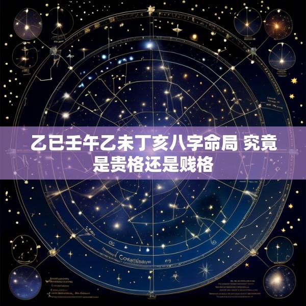 乙已壬午乙未丁亥八字命局 究竟是贵格还是贱格