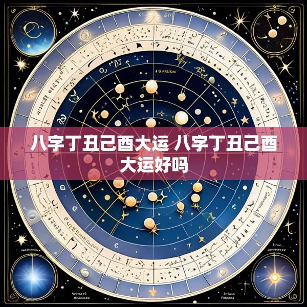 八字丁丑己酉大运 八字丁丑己酉大运好吗