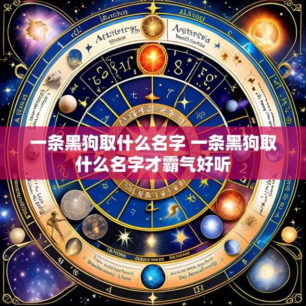 一条黑狗取什么名字 一条黑狗取什么名字才霸气好听