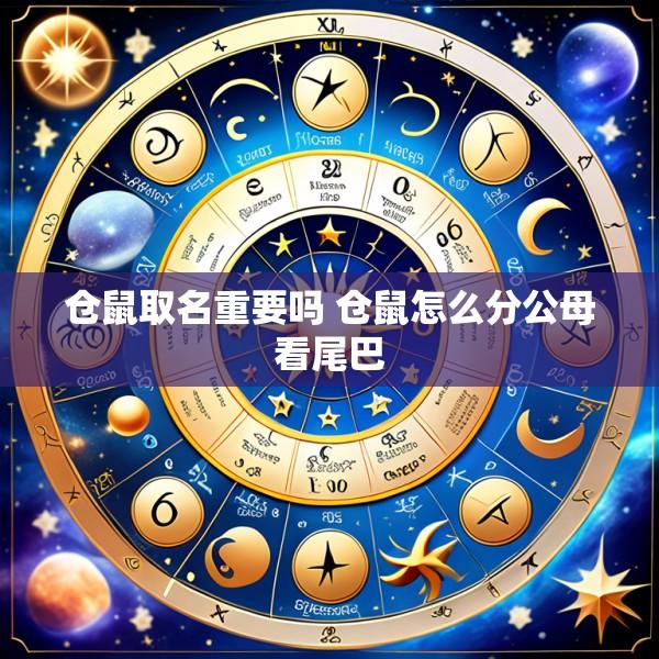 仓鼠取名重要吗 仓鼠怎么分公母看尾巴