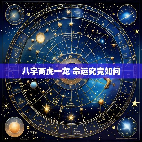 八字两虎一龙 命运究竟如何