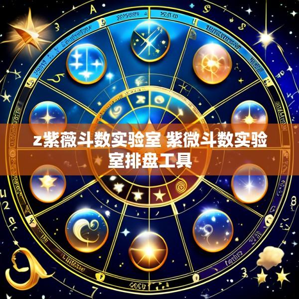 z紫薇斗数实验室 紫微斗数实验室排盘工具