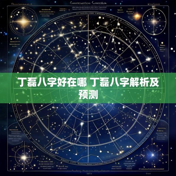 丁磊八字好在哪 丁磊八字解析及预测