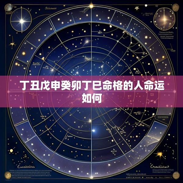 丁丑戊申癸卯丁巳命格的人命运如何