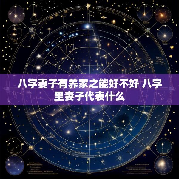 八字妻子有养家之能好不好 八字里妻子代表什么