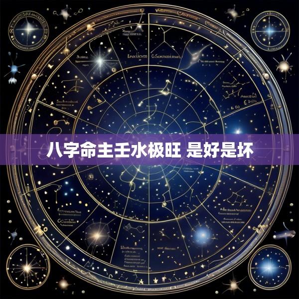 八字命主壬水极旺 是好是坏