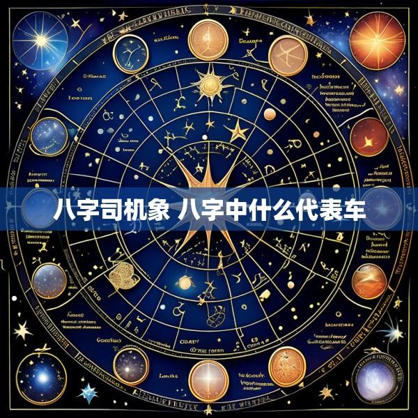 八字司机象 八字中什么代表车