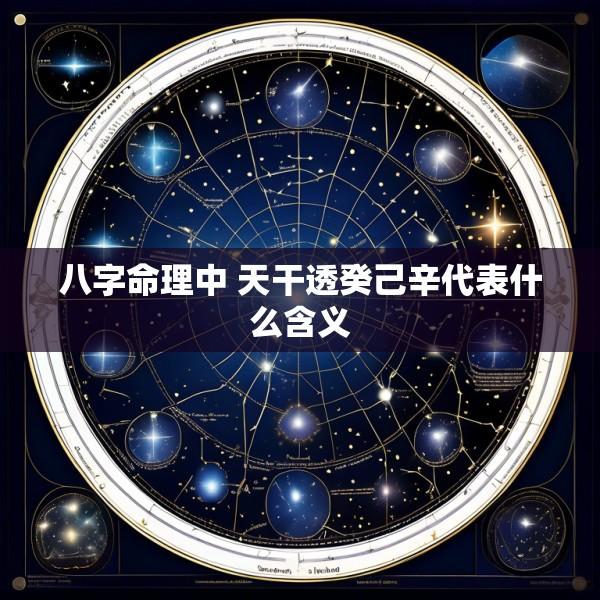 八字命理中 天干透癸己辛代表什么含义