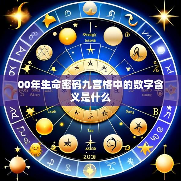 00年生命密码九宫格中的数字含义是什么