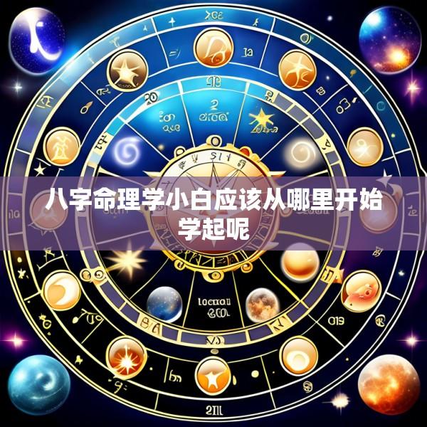 八字命理学小白应该从哪里开始学起呢