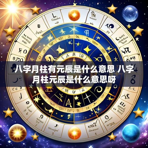 八字月柱有元辰是什么意思 八字月柱元辰是什么意思呀