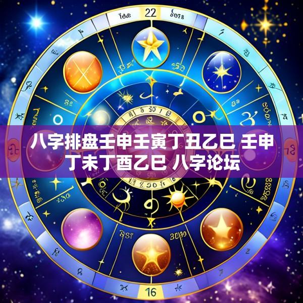 八字排盘壬申壬寅丁丑乙巳 壬申丁未丁酉乙巳 八字论坛