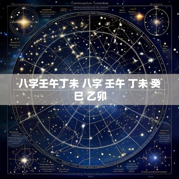 八字壬午丁未 八字 壬午 丁未 癸巳 乙卯