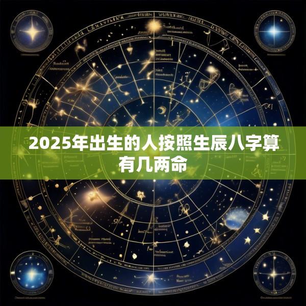 2025年出生的人按照生辰八字算有几两命