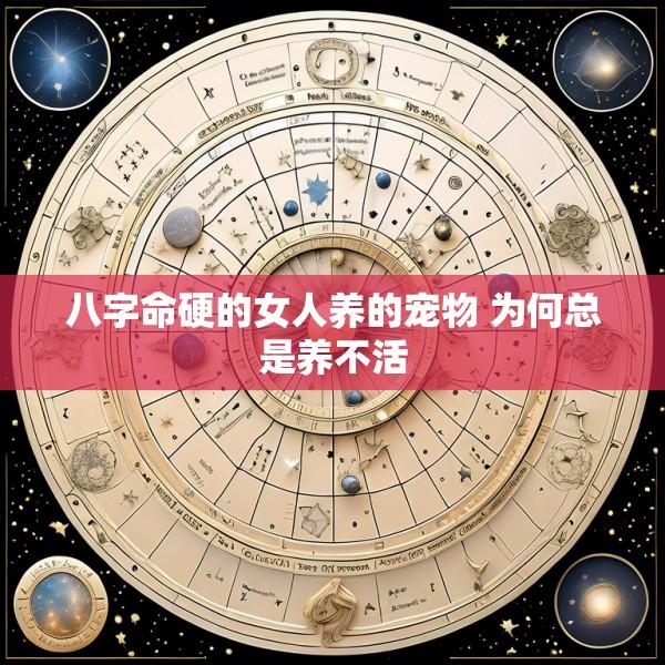 八字命硬的女人养的宠物 为何总是养不活