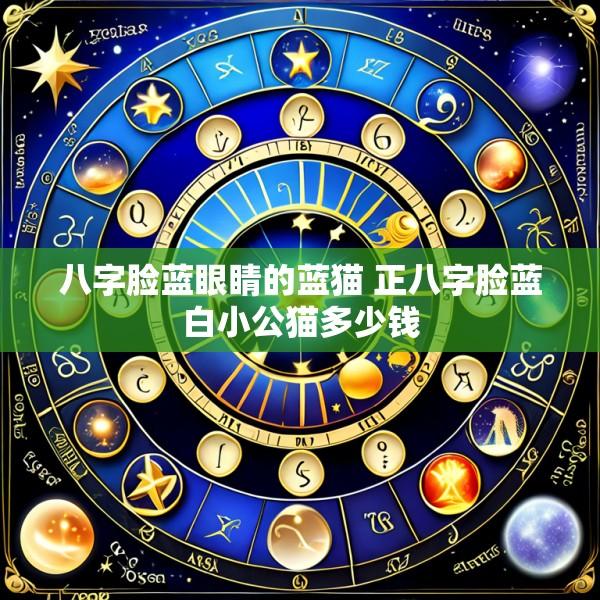 八字脸蓝眼睛的蓝猫 正八字脸蓝白小公猫多少钱