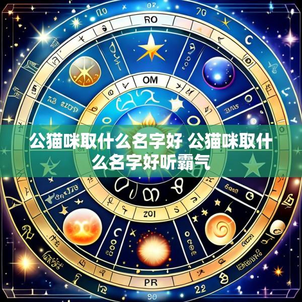 公猫咪取什么名字好 公猫咪取什么名字好听霸气