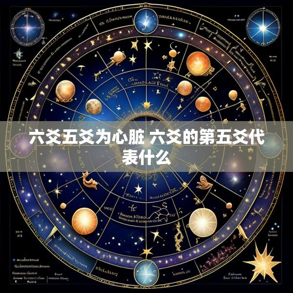 六爻五爻为心脏 六爻的第五爻代表什么