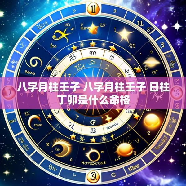 八字月柱壬子 八字月柱壬子 日柱丁卯是什么命格