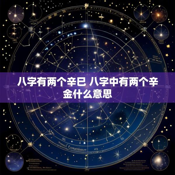 八字有两个辛巳 八字中有两个辛金什么意思